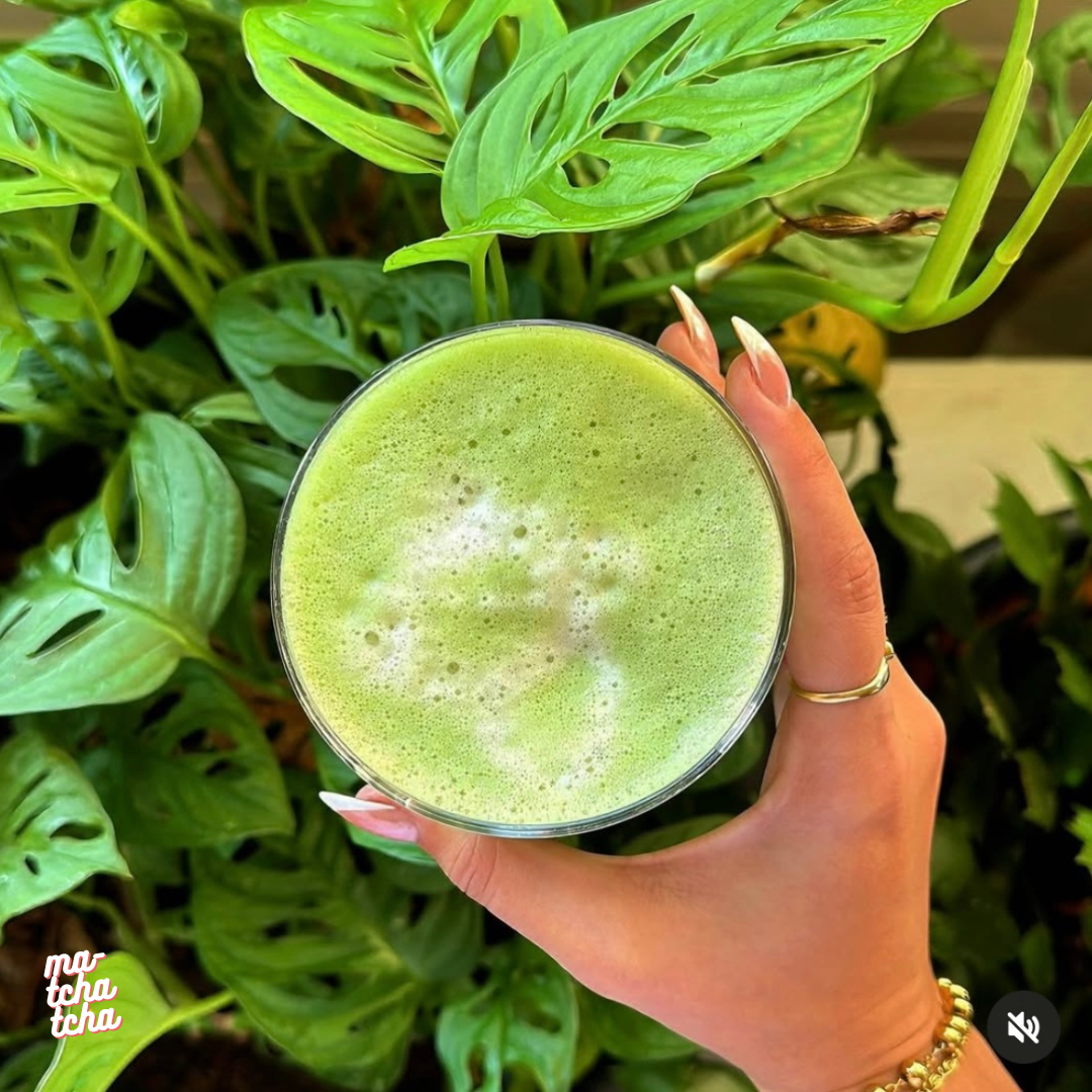 Quelle différence entre thé vert et thé matcha ?